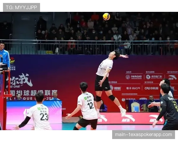 时隔八年重返决赛:记录山东男排闯入2026年中国排超联赛总决赛的历程 时隔八年重返决赛:记录山东男排闯入2026年中国排超联赛总决赛的历程